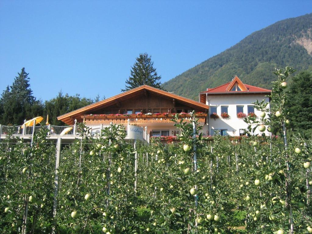 Weihergut Tscherms Exterior foto